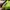 Crumpler Casual Bag Pria green black photo 8