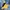 The North Face Gorpcore Sportswear Windbreaker Pria Black Yellow