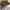 GAP Vintage Leather jacket Pria gray photo 6