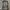 GAP Vintage Leather jacket Pria gray photo 2