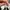 Adidas Streetwear Casual Sneakers Pria white black photo 4