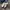 Adidas Streetwear Casual Sneakers Pria white black photo 1