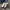 Adidas Streetwear Casual Sneakers Pria White Black