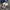 Adidas Streetwear Casual Sneakers Pria white black photo 3