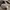Carhartt Streetwear Casual Hoody Pria gray photo 6