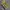 Carhartt Streetwear Casual Hoody Pria gray photo 4