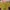Avant Garde Crop Top Wanita Multicolor Yellow