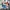 JanSport Casual Kids Multicolor