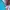JanSport Casual Kids multicolor photo 6