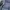 JanSport Casual Kids navy photo 4