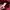 WHO.A.U Casual Hoody Pria red photo 3