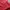 WHO.A.U Casual Hoody Pria red photo 7