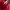 Feltics Casual Sweater Pria red blue photo 5