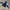 Nike Luxury Pria navy cream photo 4