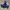 Nike Luxury Pria navy cream photo 2