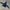 Nike Luxury Pria navy cream photo 3
