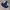 Nike Luxury Pria navy cream photo 6