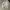 Buckaroo Skater Casual Sweater Pria white photo 2
