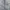 Vintage Streetwear Jeans Pria gray photo 2