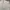 Casual Polo shirt Pria white green photo 3