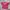 Levi's Casual T-shirt Pria Red