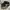 Nike Sportswear Sneakers Wanita white black photo 5