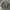 H&M Indie Muslim Formal shirt Pria multicolor gray photo 2