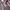 Japanese brand Lolita Indie Tote bag Wanita pink photo 3