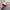 Streetwear Y2K Hat Pria red cream photo 2