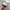 Streetwear Y2K Hat Pria Red Cream