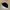 Kangol Streetwear Y2K Hat Wanita black photo 3