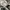 Converse Casual Sneakers Wanita white black photo 5