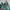 Dickies Skater Casual Pria green photo 6