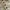 Stone Island Minimalist Casual Polo shirt Pria white photo 3