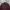Uniqlo Casual Casual Shirt Pria Burgundy