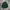 Uniqlo Casual Casual Shirt Pria Green