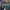 A Bathing Ape Vintage Streetwear Jeans Pria navy photo 2