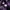 Carhartt Streetwear Y2K Casual shirt Pria purple black photo 3