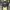 Y2K Crop top Wanita black photo 3