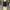 Y2K Crop top Wanita black photo 5