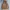 Y-3 Vintage Streetwear Hoody Pria tan photo 1