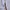Kangol Streetwear Casual Puffer jacket Pria white photo 3