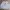 Kangol Streetwear Casual Puffer jacket Pria white photo 1