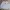 Kangol Streetwear Casual Puffer Jacket Pria White