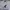 Kangol Streetwear Casual Puffer Jacket Pria White