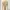 Issey Miyake Casual Blouse Wanita cream photo 6