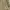 Karl Helmut Casual Harrington jacket Pria tan photo 5