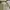 Karl Helmut Casual Harrington jacket Pria tan photo 1