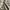 Karl Helmut Casual Harrington jacket Pria tan photo 8