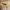 Karl Helmut Casual Harrington jacket Pria tan photo 2